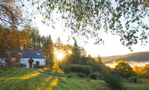 Fern Cottage in the dawn light