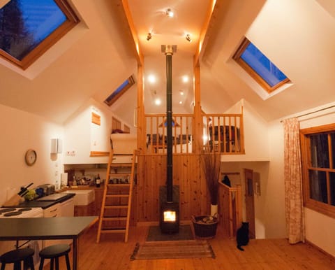 Downstairs Living Area