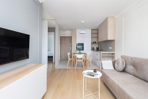 Comfortable living room with a sofa bed, TV and kitchenette.