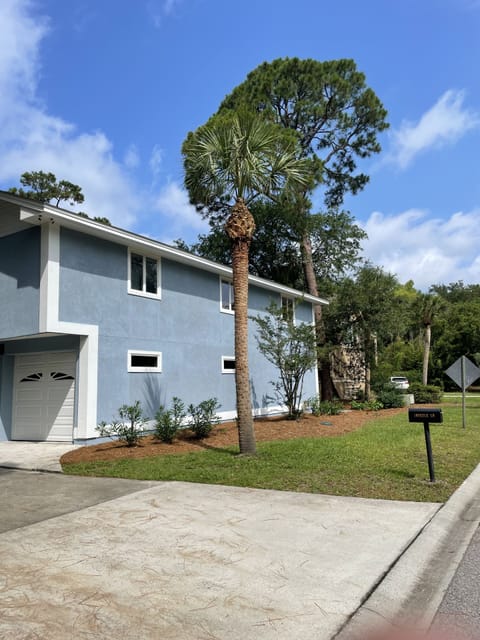 side of home (one of several dozen beautiful, old palmetto trees at our home
