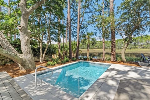 Pool with marsh views. Approx 11x18'