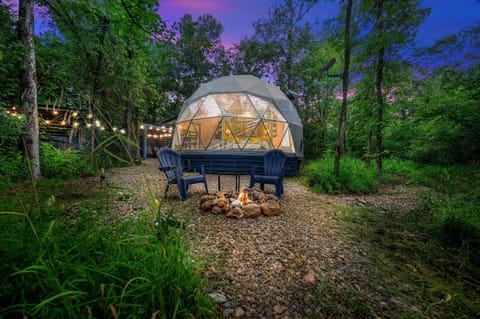 Th Honey Dome