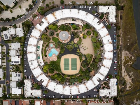 Bird's Eye View of Complex