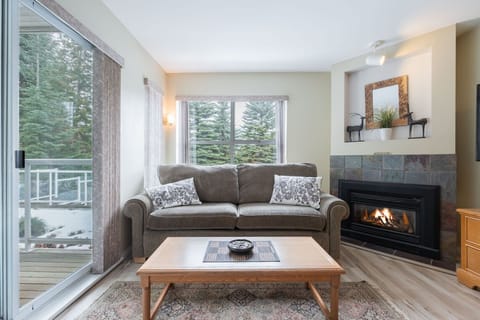 Living area: Queen pull-out