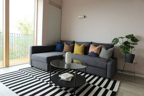 Living Room with Sofa Bed