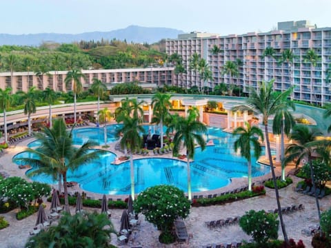 Dream big with sweeping resort pool views framed by palms.