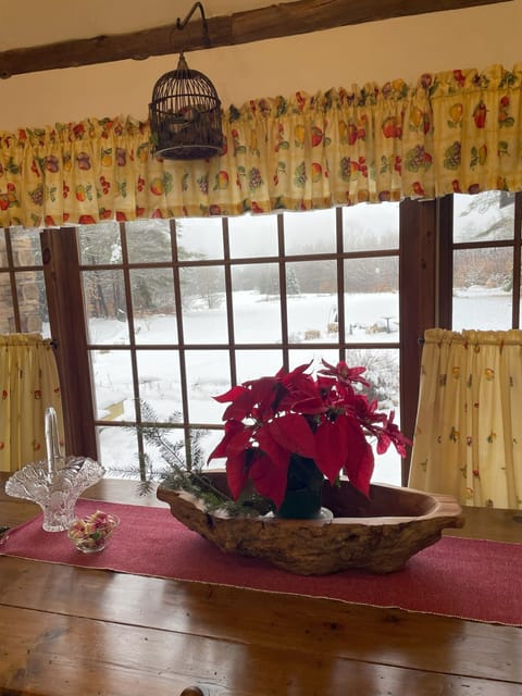 Looking out toward Stratton and Green Mtns
