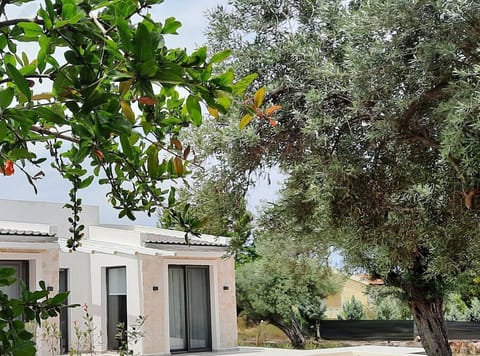 Junior Suite With Private Swimming Pool Apartment hotel in Halkidiki