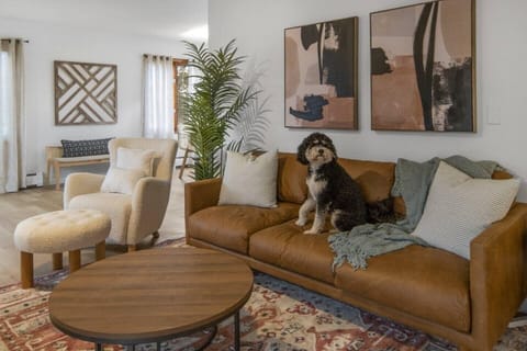 Dog Friendly