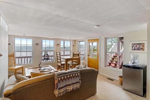 Lower Level Living Room