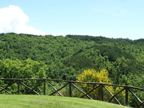 View from Holiday Home [summer]