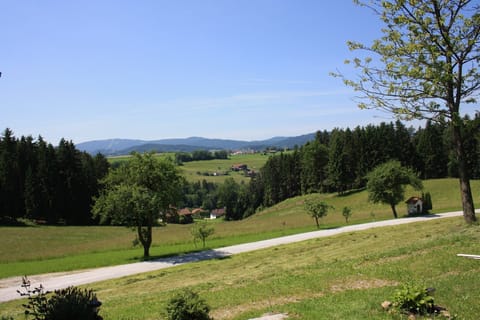 View from Holiday Home [summer]