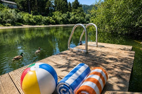 Private, new swim platform./dock for Summer 2026! - Connonball into Summer!