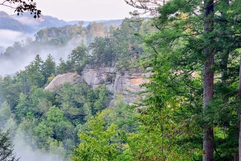 Million dollar view from cabin