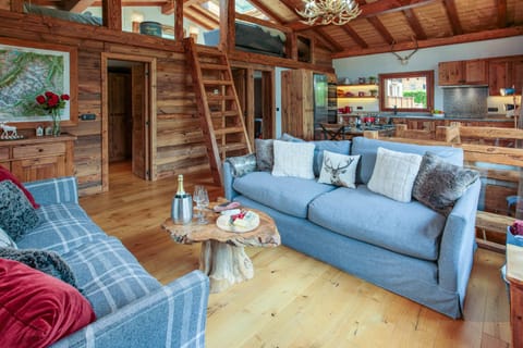 Comfortable sofas in living room