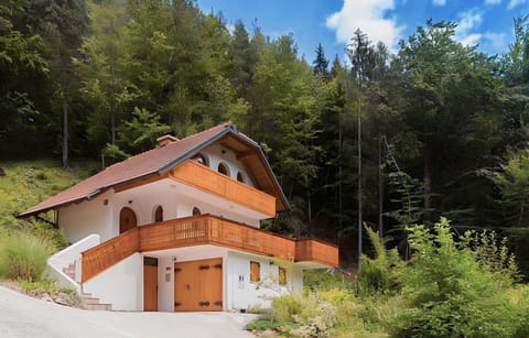 Detached house in the Julian Alps with parking for 2 cars
4x4 needed in winter 