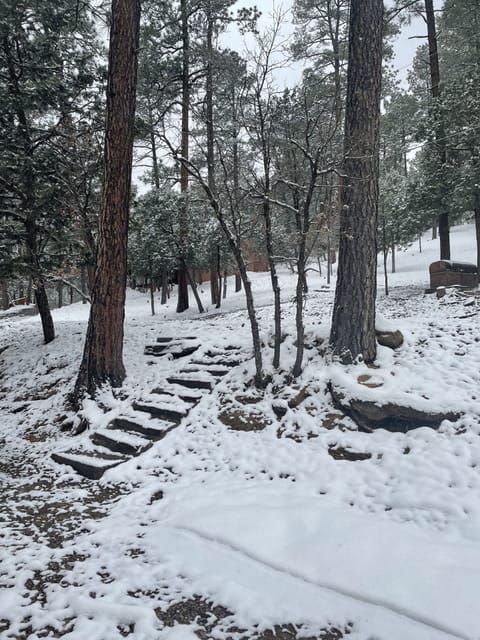 Views from the living room window!