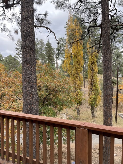 Views from patio deck in the fall.
