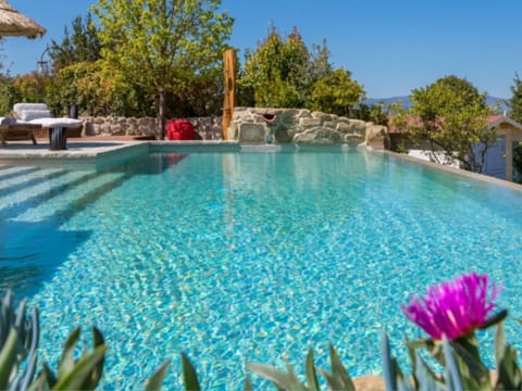 Garden, Outdoor, Pool