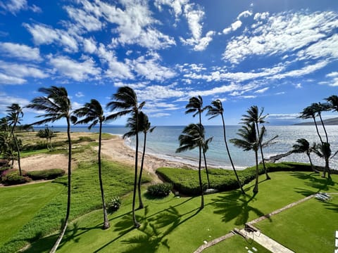 Swaying palm trees in paradise