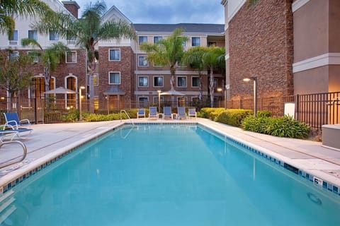 Dive into a sparkling pool framed by calm palm views.