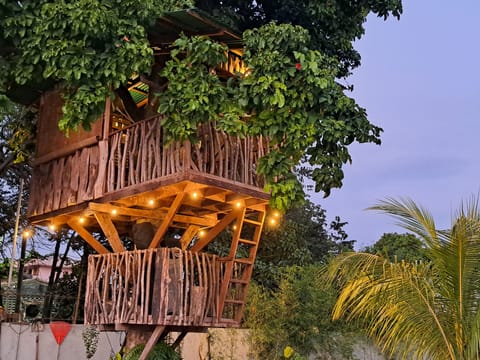 Tree house