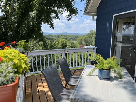 View of Mississippi River from upper deck
