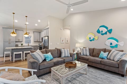 Living Room and Kitchen Area