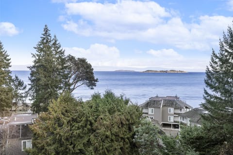 Morning coffee view.