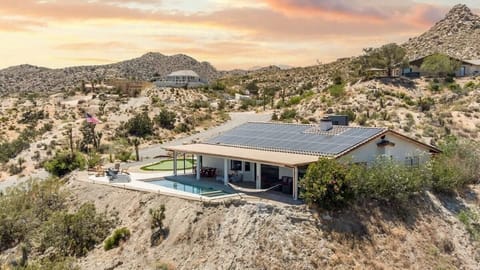 Welcome to Ozzie & Harriet's