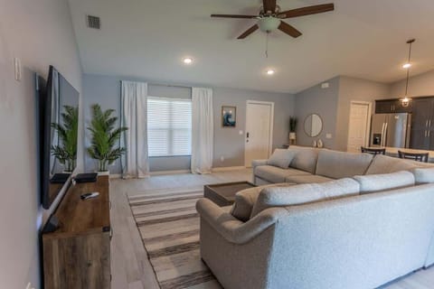 Living room with the cute plant