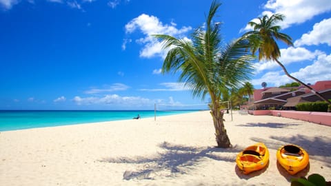Unwind under swaying palms with kayaks ready for adventure.