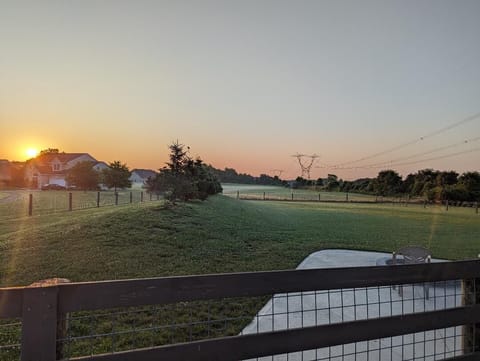 This is your view from your east facing windows