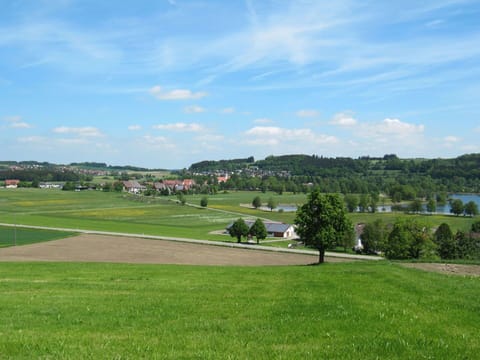 Sky, Property, Plant, Tree, Building, Land Lot, Slope, Shade, Asphalt, Wood