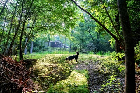 Trail by the lower pond