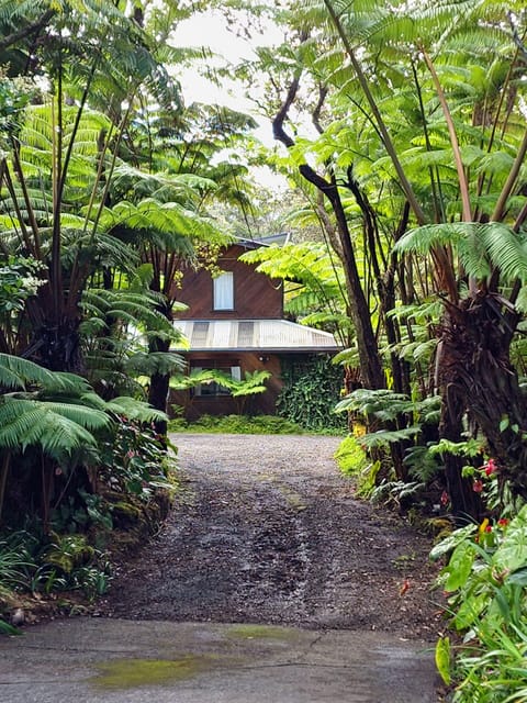 The Pacifica Inn view of the entrance to the property.