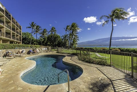 Relax by the resort's sparkling pool while taking in breathtaking ocean and mountain views, surrounded by swaying palm trees and Maui's natural beauty.