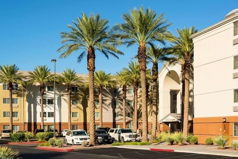 Arrive with confidence at a bright, palm-lined hotel entrance.