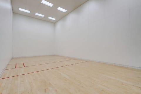 Racquet ball