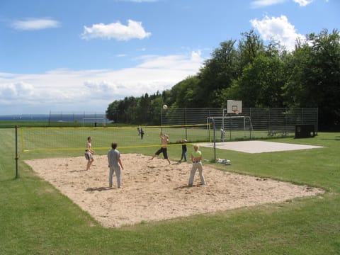 Sport court