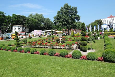 Immediate Surroundings [summer] (<1 km)