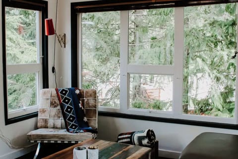 Surrounded by windows in a magical forest! 