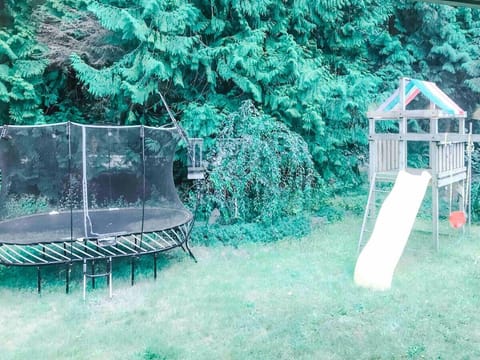 Lots of backyard fun!