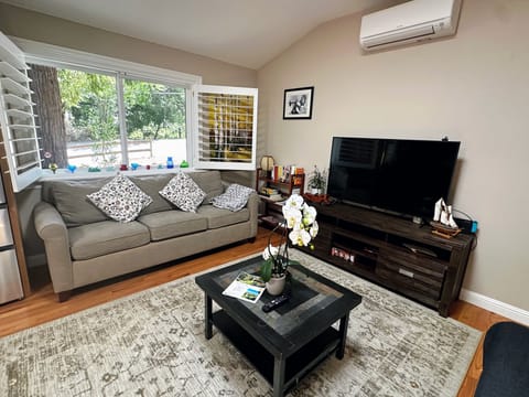 Large living room with a full size sofa bed and extra couch