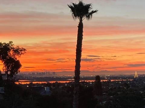 Enjoy the magic of a North Pacific Beach/San Diego sunset right from the kitchen/great room.