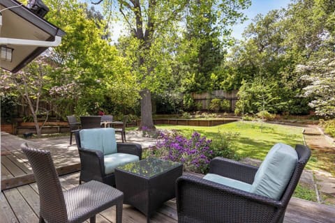 Springtime in the garden