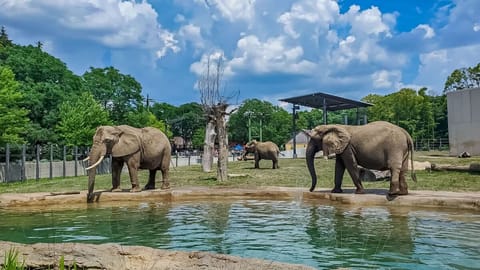 Milwaukee County Zoo