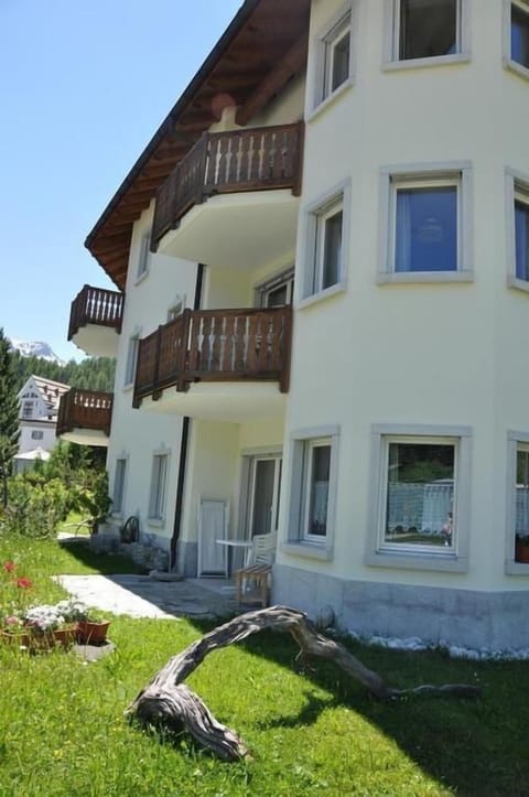 Exterior view Summertime