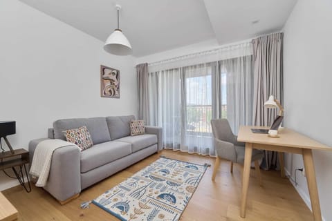 Living room with double sofa bed.