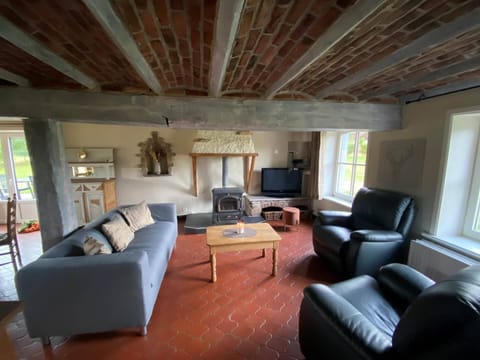 Gite rural La demoiselle ô bois - salon- feu au bois